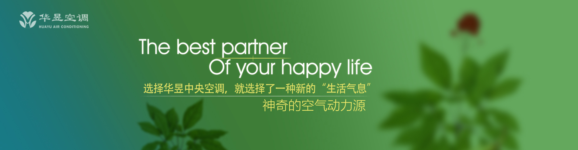 逼良为娼网